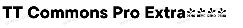 TT Commons Pro Extra字体转换